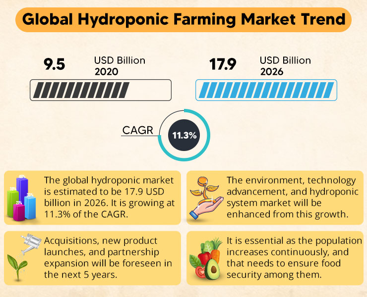 Global Hydroponic Market Trends