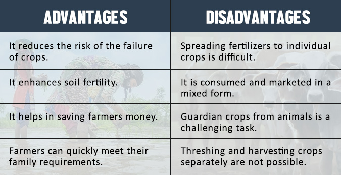Mixed Farming Advantages and Disadvantages