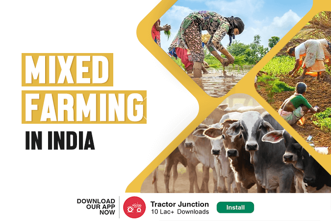 Mixed Farming in India - Types, Characteristics & Benefits