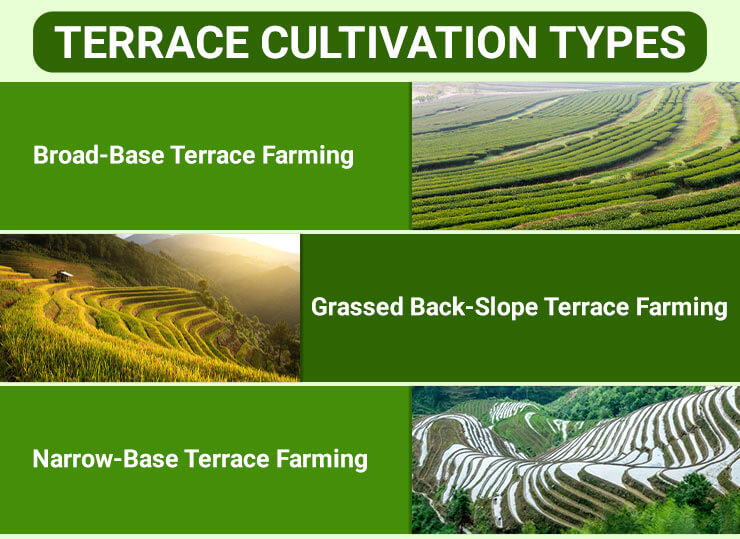 Terrace Cultivation Types