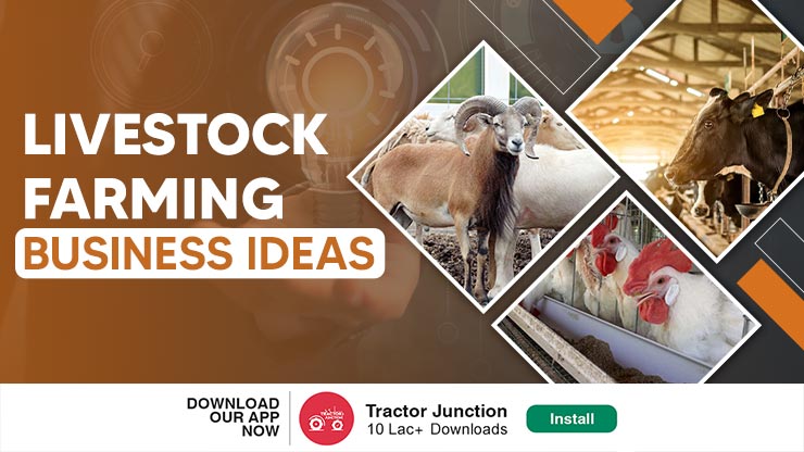 Top 10 Most Profitable Livestock Farming Business Plan in India 2023