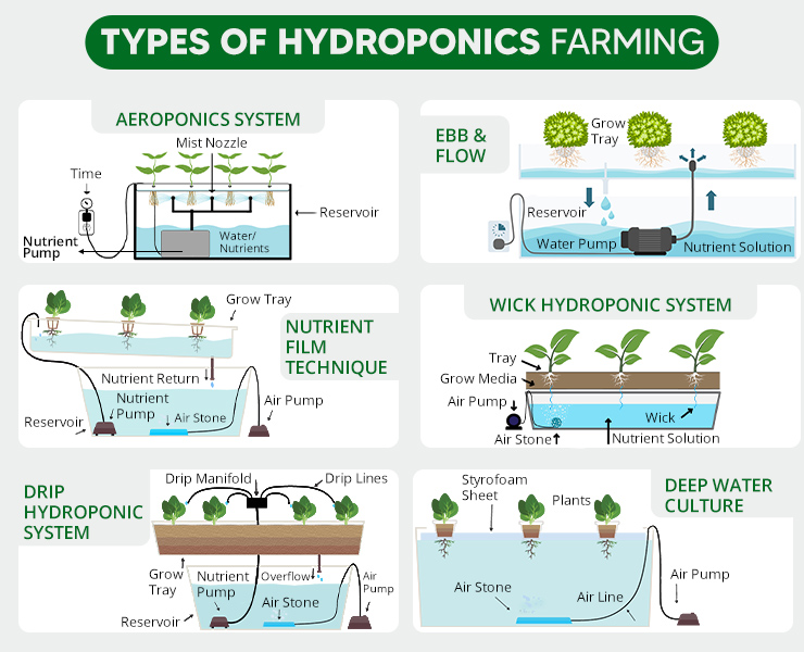 Types of Hydroponics Farming / System