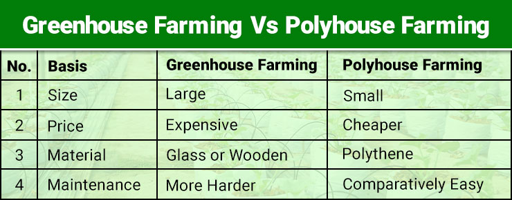 Greenhouse Farming Vs Polyhouse Farming 