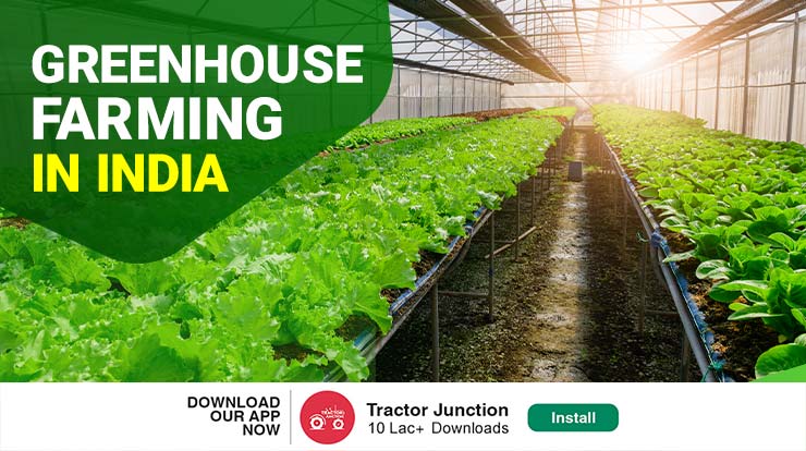 Greenhouse-Farming-in-India