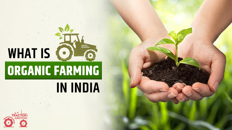 What is Organic Farming in India