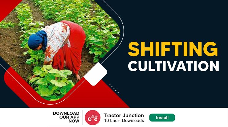 what is Shifting Cultivation