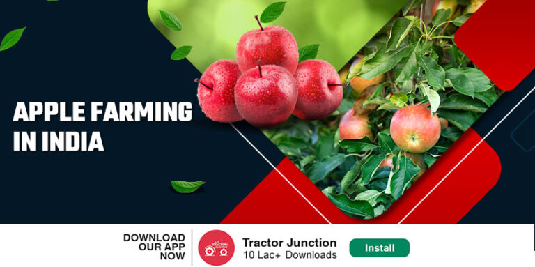 Apple Farming in India - List of Apple Varieties and Planting Method