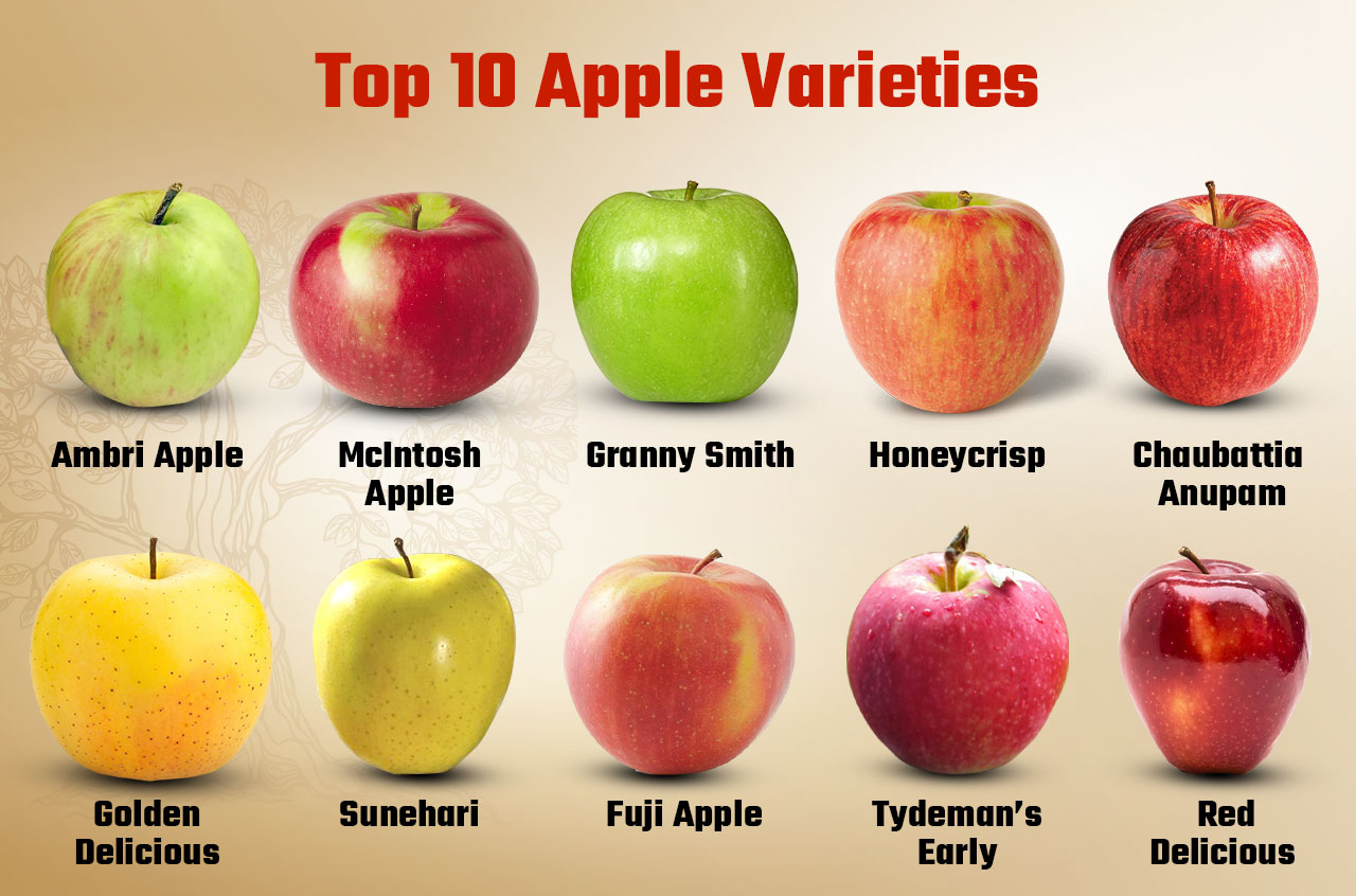 Top 10 Apple Varieties In India