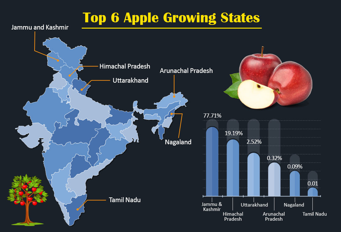 Top 6 Apple Producing States in India
