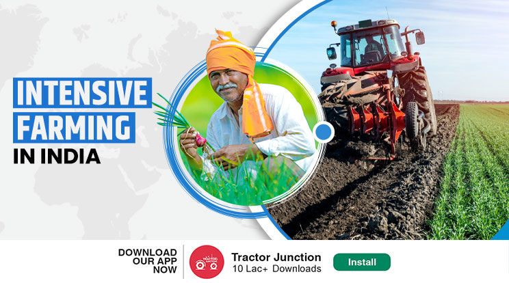 Intensive farming in India - Methods, Area and Characteristics