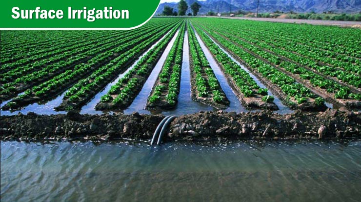 Surface Irrigation