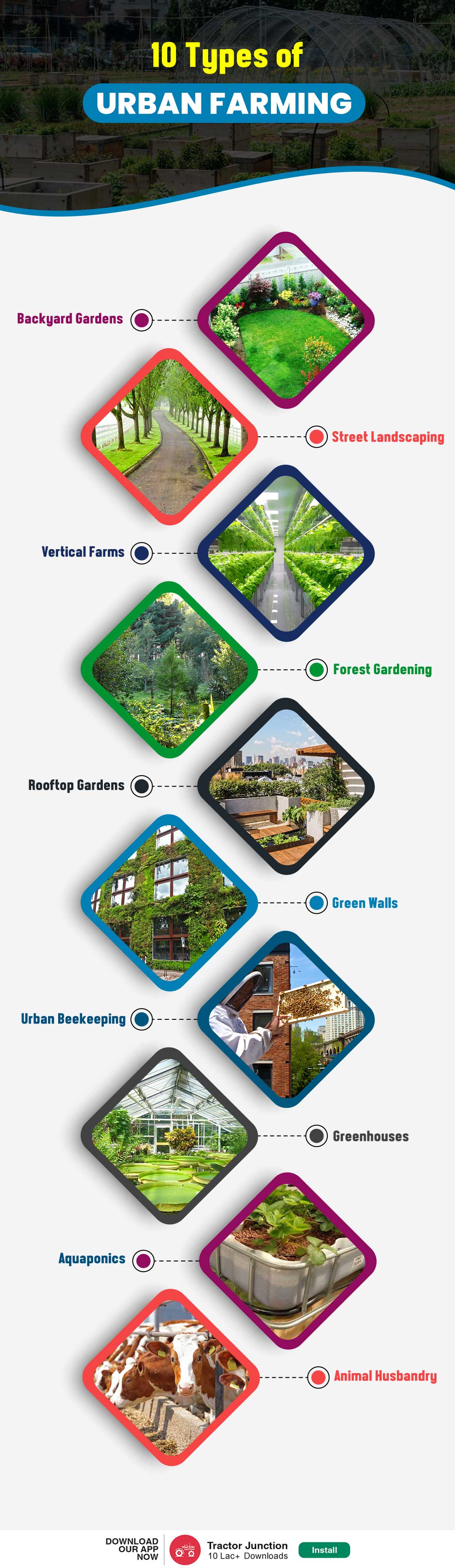 10 Types of Urban Farming
