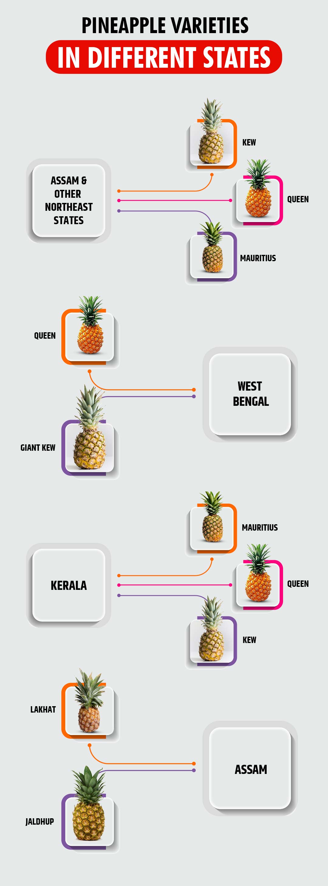 Pineapple Varieties