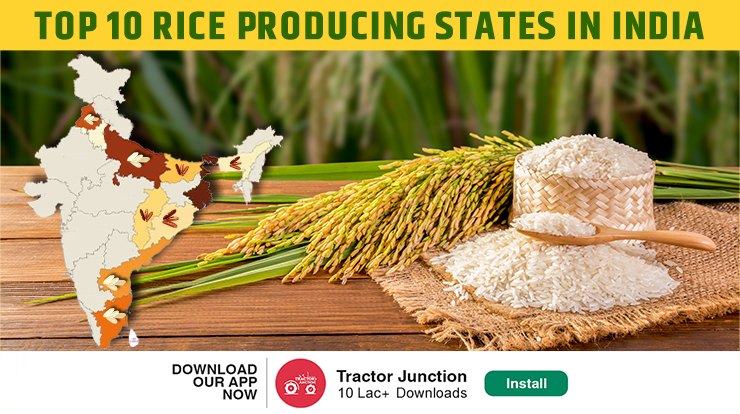 Top 10 Rice Producing States in India - Rice Production in India
