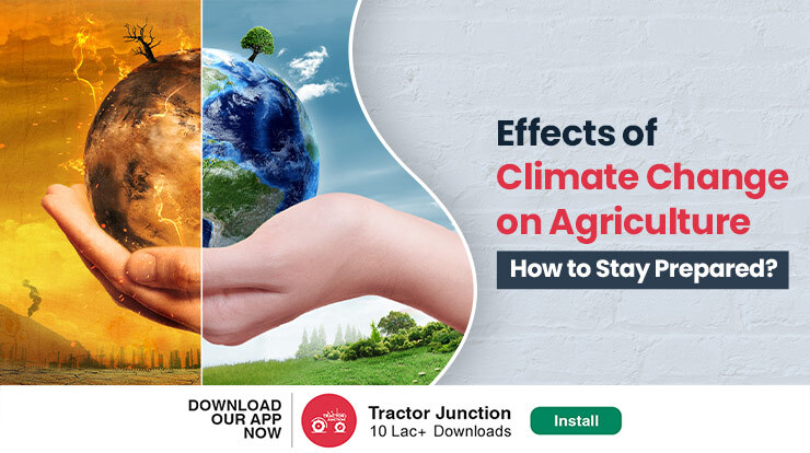 Negative Impact of Climate Change on Agriculture - 7 Ways to Reduce It