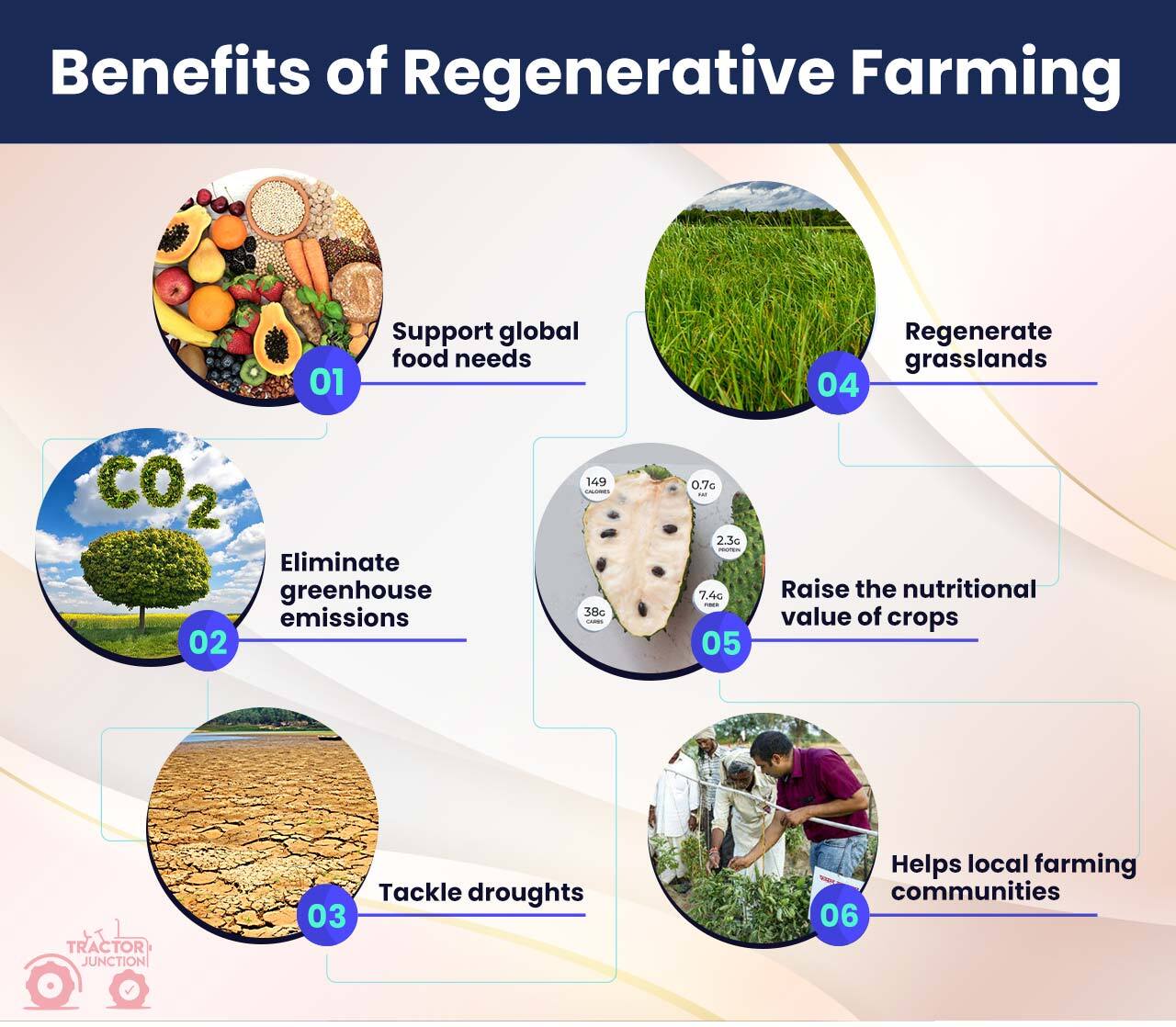 Benefits-of-Regenerative-Farming-insight