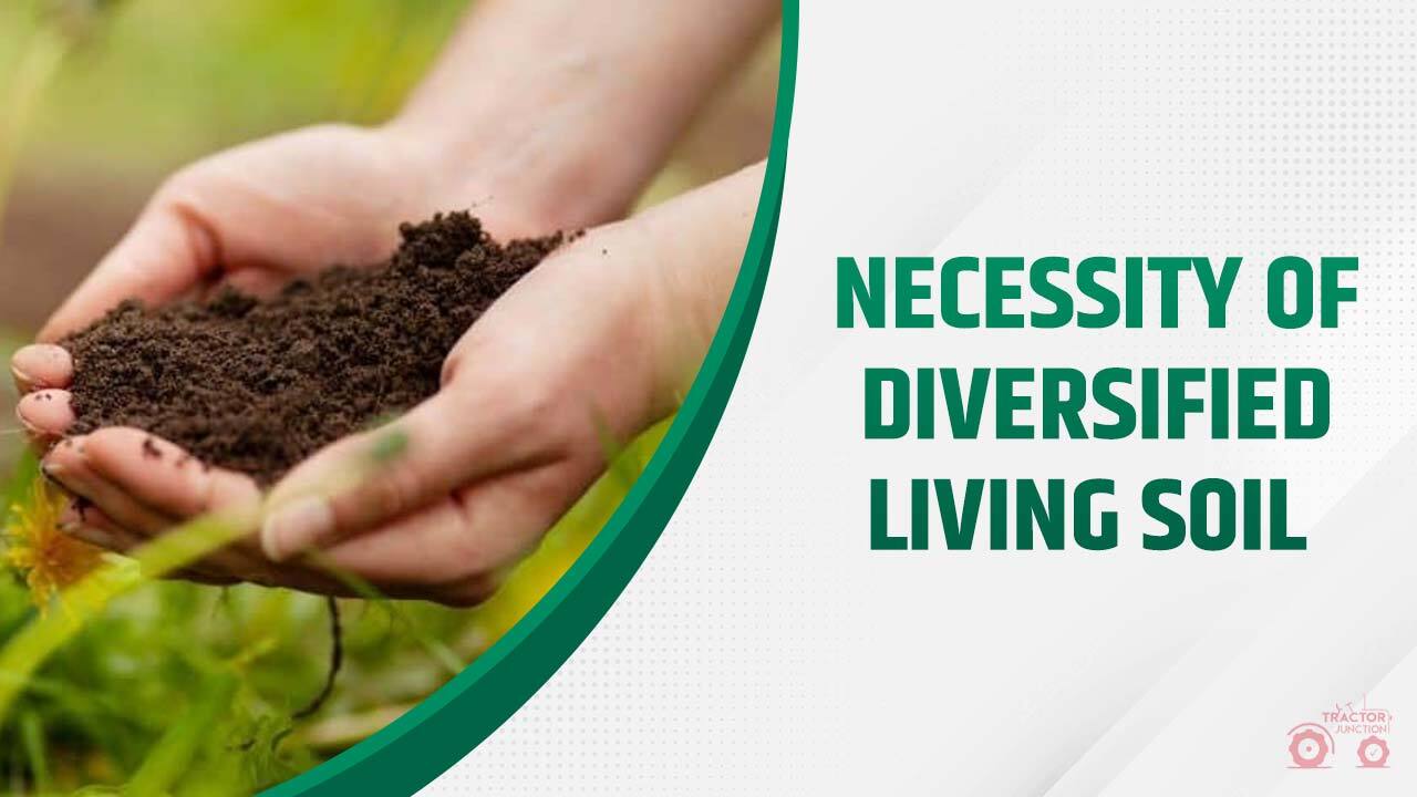 Necessity Of Diversified Living Soil