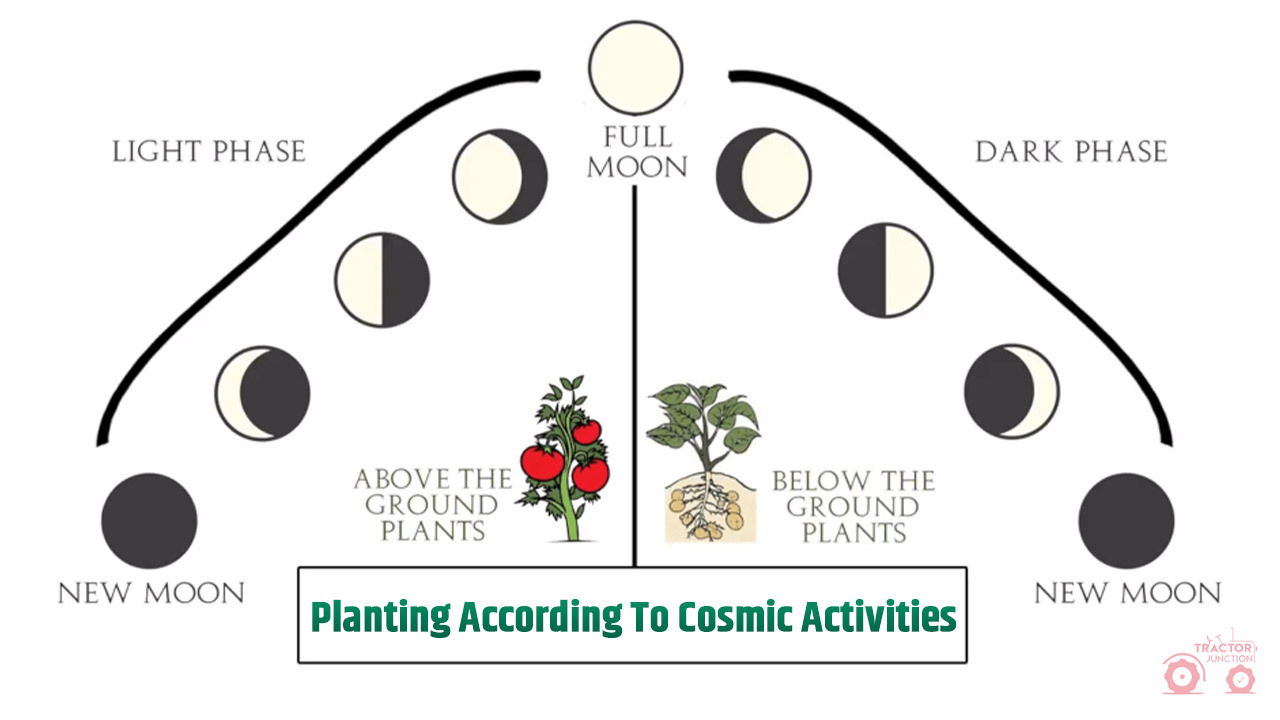 Planting According To Cosmic Activities 