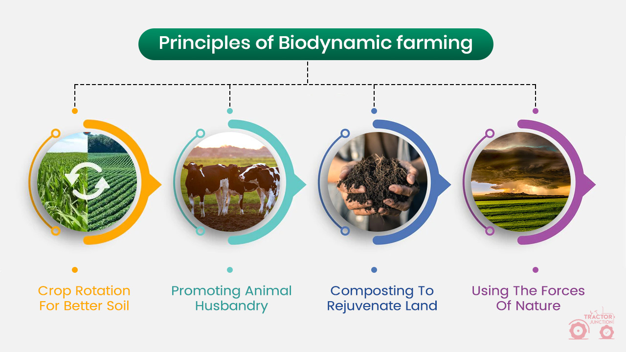 Principles of Biodynamic farming