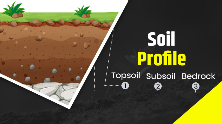 What Is Soil Profile
