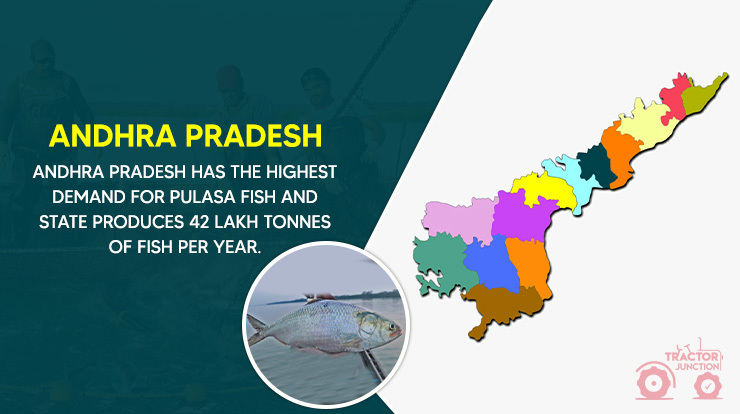 Top 10 Fish Farming States in India - Largest Fish Producing States!