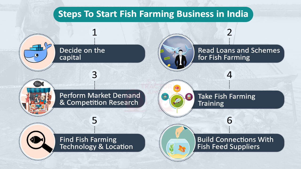 How to Start Fish Farming in India Get Started in Just 6 Steps