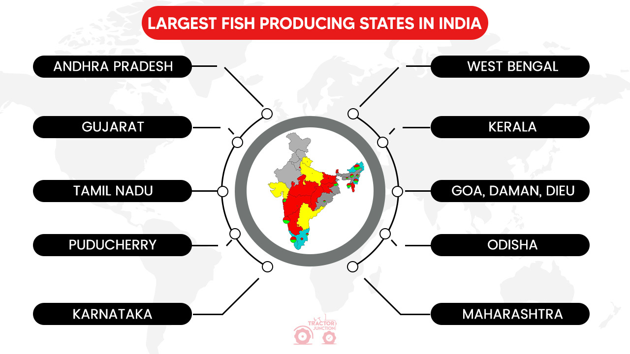 Largest Fish Producing States in India