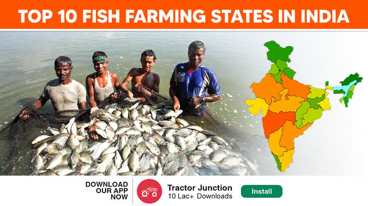 Top 10 Fish Farming States in India - Largest Fish Producing States!