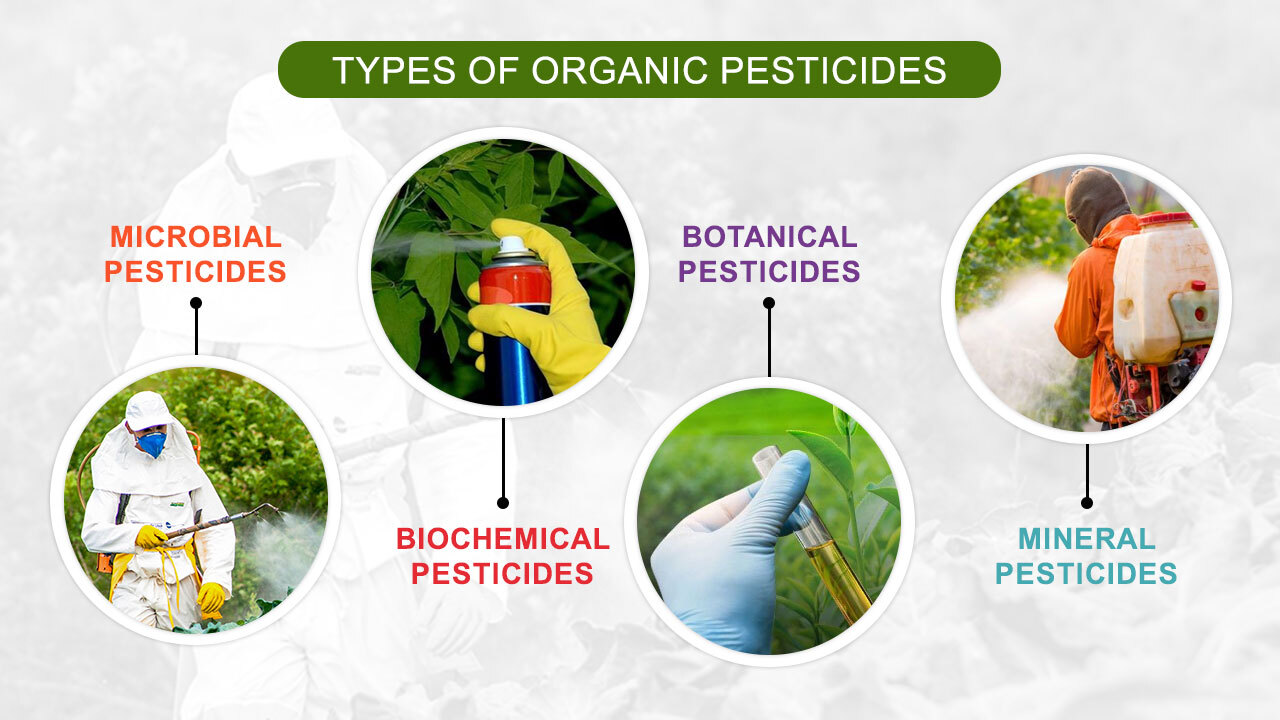 Types of Organic Pesticides or Bio Pesticides