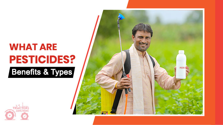 Types Of Pesticides Used In Farming – Importance And Benefits