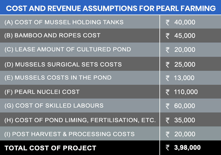 Cost and Revenue Assumptions for Pearl Farming
