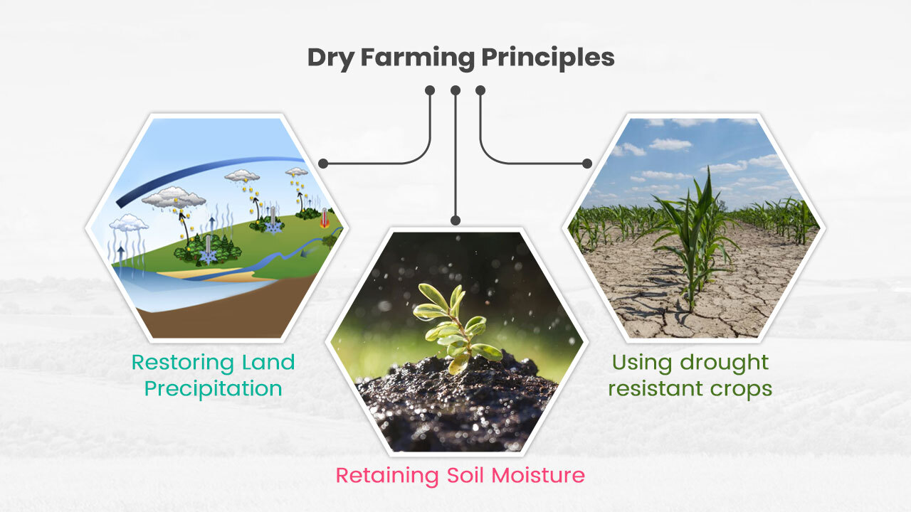 Dryland Farming Principles