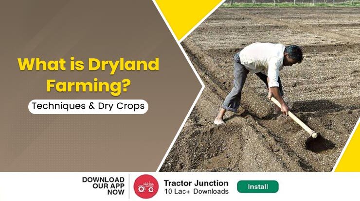 What is Dryland Farming in India? Top Methods to Increase Water Absorption