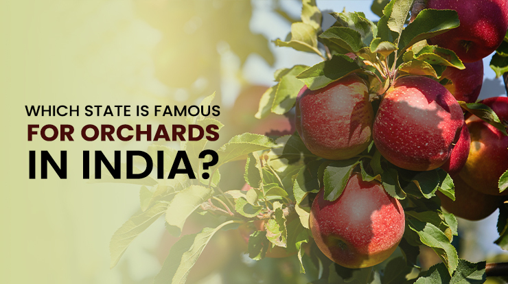 famous for orchards in India