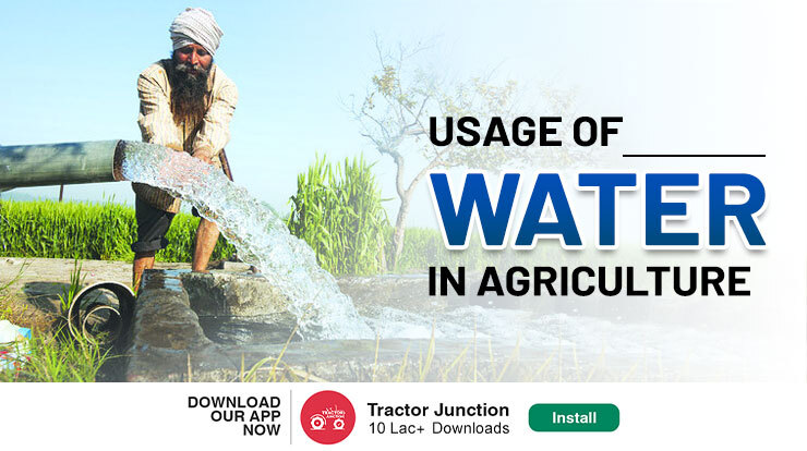 Usage of Water in Agriculture Importance & Sustainability