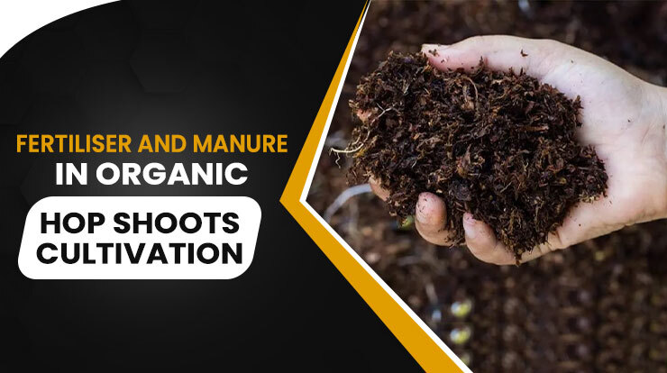 Fertiliser and Manure in Organic Hop Shoots Cultivation