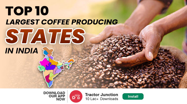 Top 10 Coffee Producing States in India - Annual Production