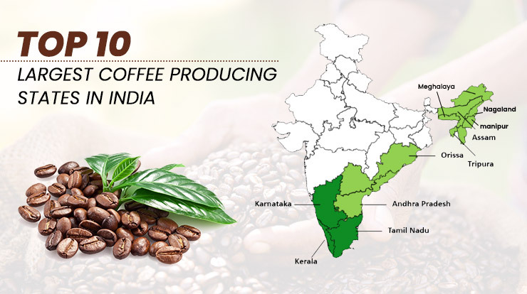 Top 10 Largest Coffee Producing States in India