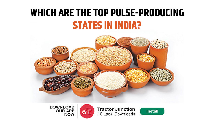 top pulse-producing states in India