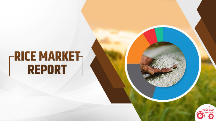 Rice Market Report in India 