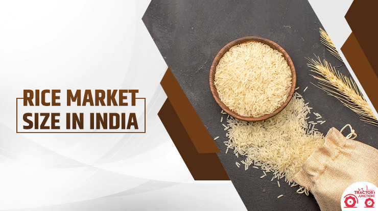 Rice Market Size in India