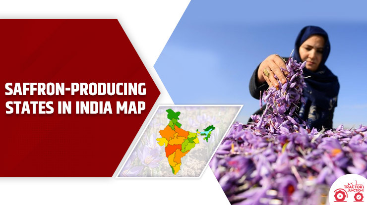 Saffron-producing states in India map