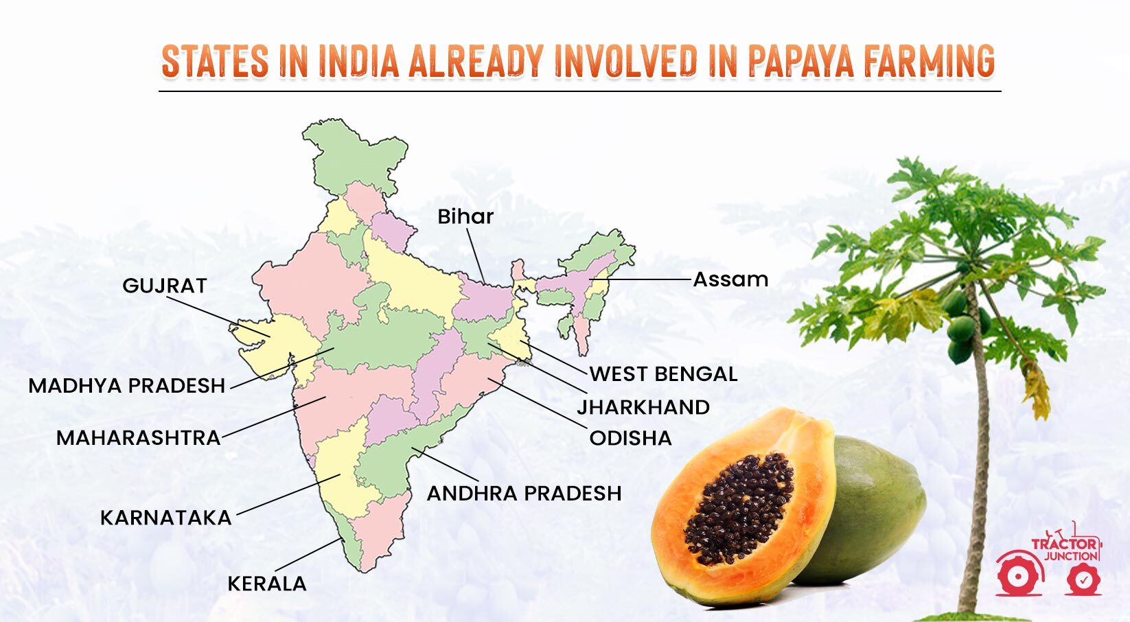 States in India already involved in papaya farming