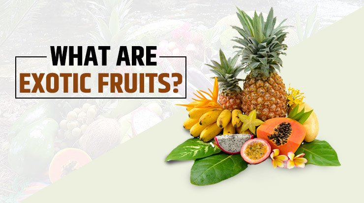 What are exotic fruits