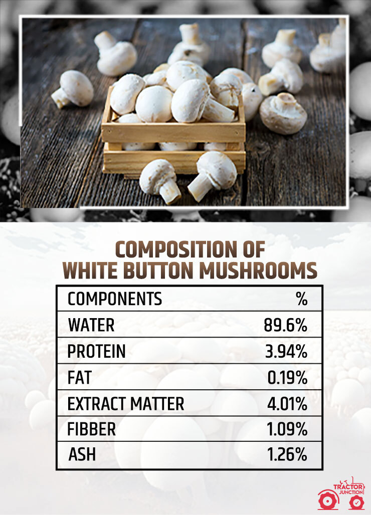 Composition of White Button Mushrooms