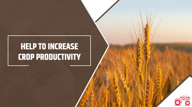 Help to increase crop productivity