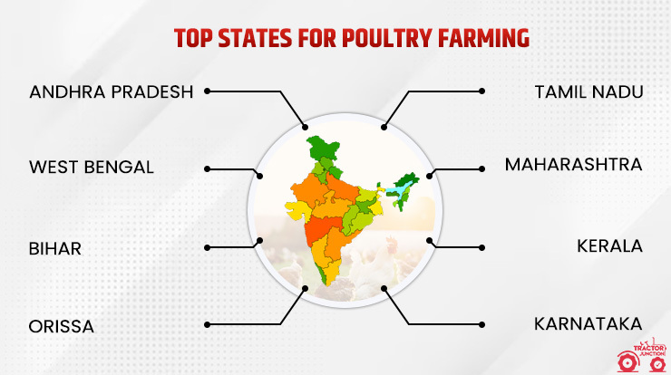 Top States for Poultry Farming