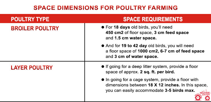 poultry farm business plan cost