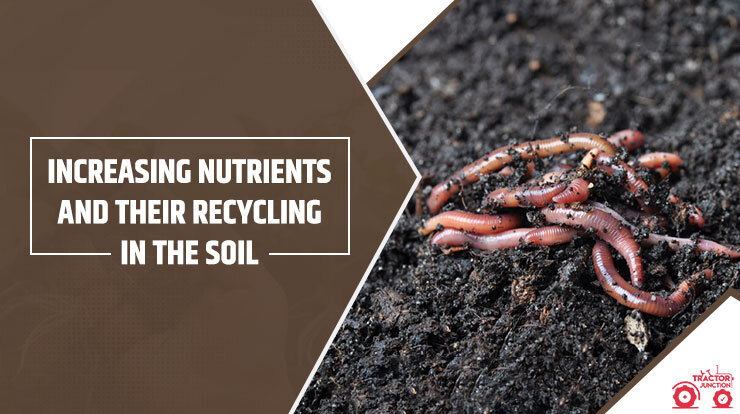 Increasing nutrients and their recycling in the soil