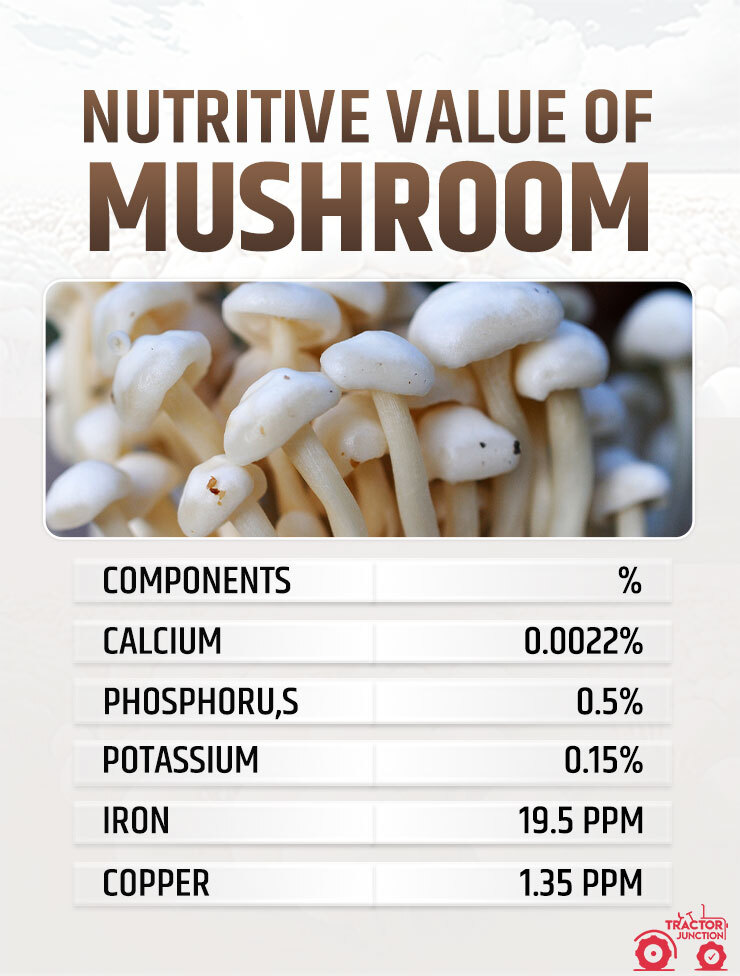 Nutritive Value of Mushroom